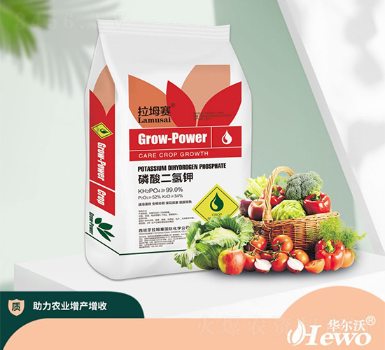 ��������-����ِ-�A����