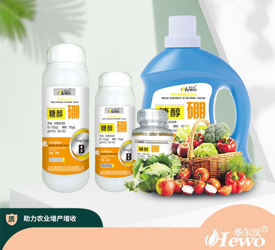 �Ǵ���-�A����