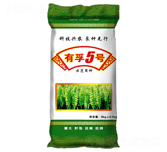 ����5̖-С���N��-�h���N�I(y��)