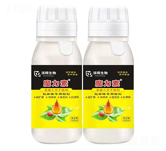 �t֩�댣������-ħ����-�I�x����