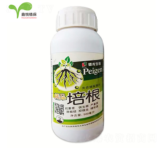 ��ϼ�(x��)������-��Ʒ���-�ΐ��r(n��ng)�I(y��)