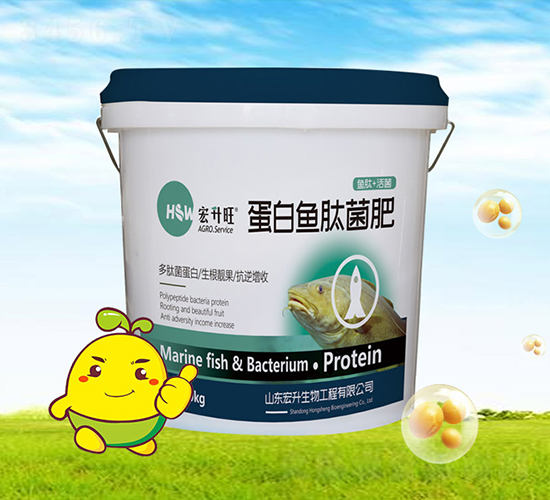 �����~�ľ���-������-��������