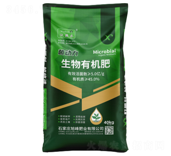 �����ЙC��-������-���ʘI(y��)