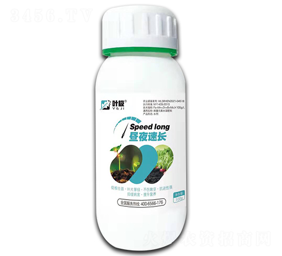 ��ҹ���L-�~�O-�殀����