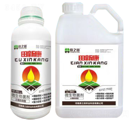 ���¿�-ԭ֮��