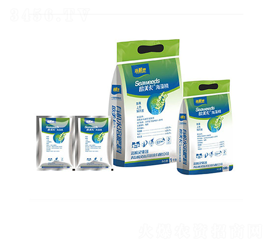 ���徫-�W����-���L�`