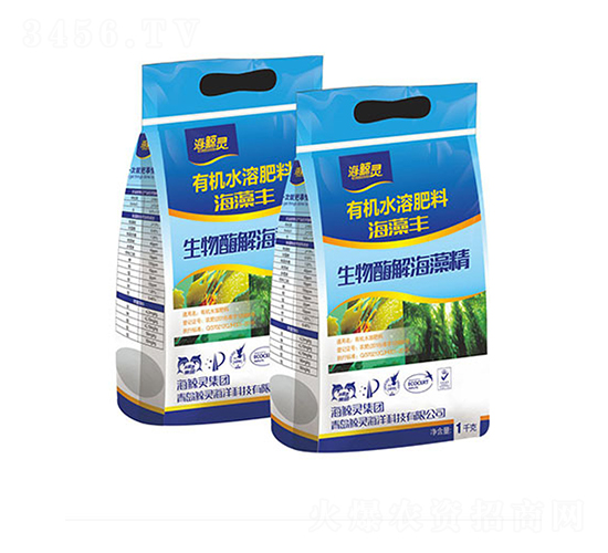 ����ø�⺣�徫-�����S-���L�`