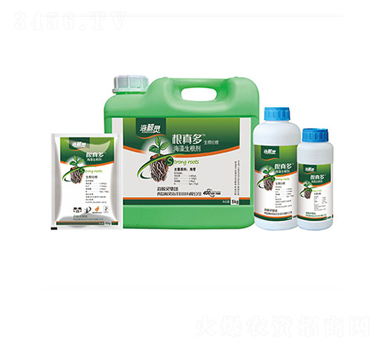 ����ຣ��������-���L�`