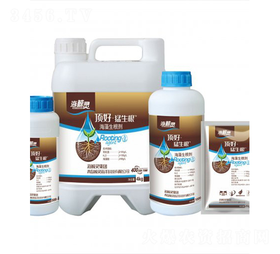 ����������-���L�`