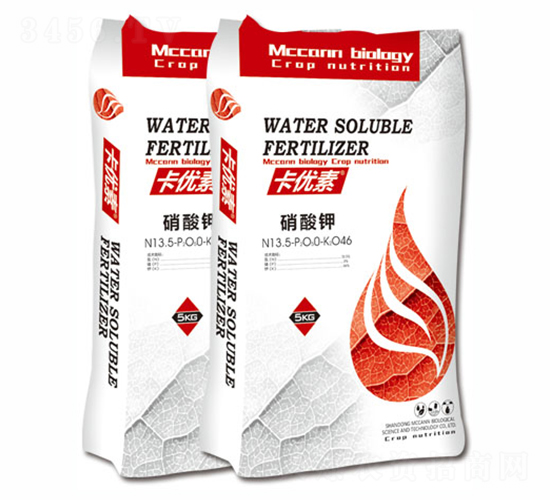 ����(y��u)�������-��������