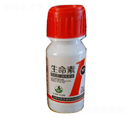 �����ޏ�(f��)��-������1̖-���r(n��ng)����