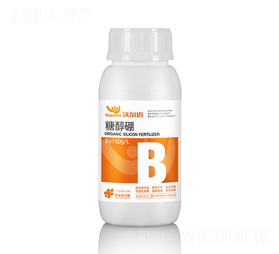 300g�Ǵ���-�֠��~