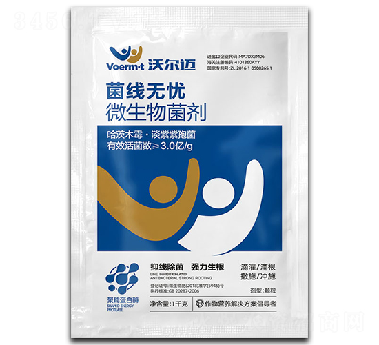 �����o(w��)�n-�֠��~