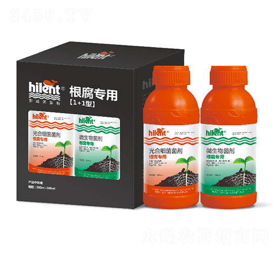 �������á�1+1�͡�-���{(l��n)��