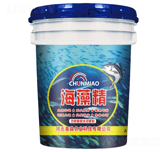 ���徫-�����r(n��ng)�I(y��)