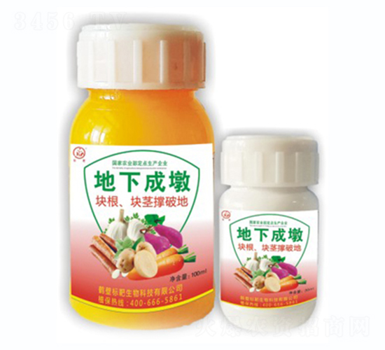 ���³ɶ�-��(bi��o)������