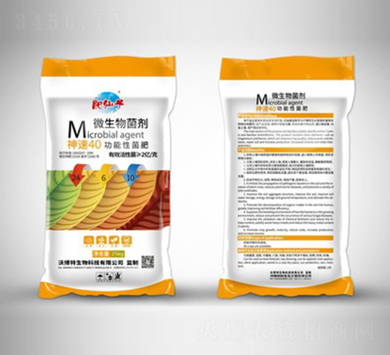 ����40�����Ծ���24-6-10-�ֲ���