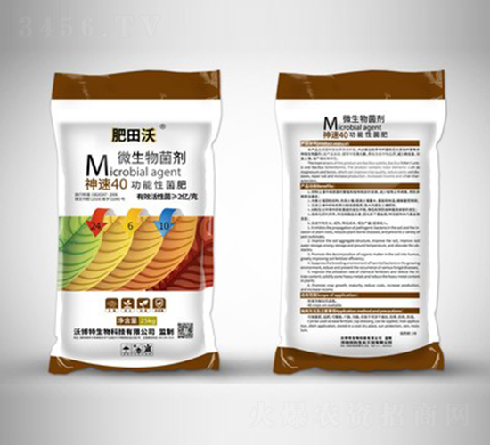 ����40�����Ծ���24-6-10-������-�ֲ���