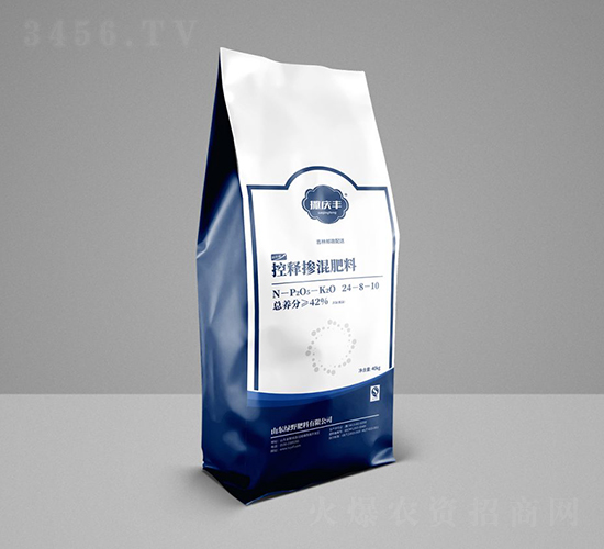 ���׌��ÿ�ጓ������24-8-10-���c�S-�GҰ����