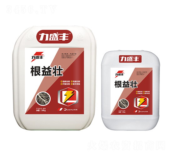 �����-��ʢ�S-�����r(n��ng)�I(y��)