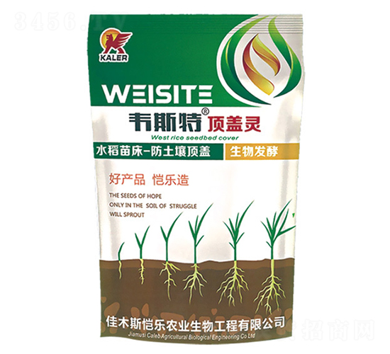 �紲��w�`-�f˹��-���r(n��ng)�I(y��)