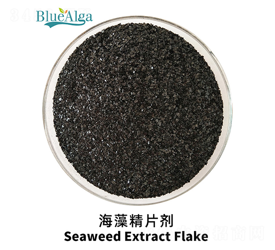 ���徫Ƭ��-���u�{(l��n)��