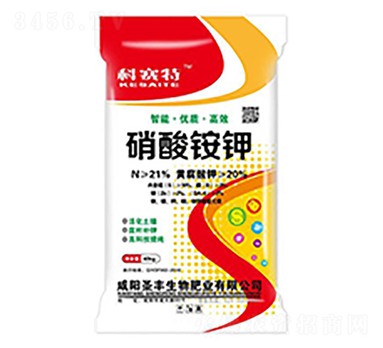 �����@�-��ِ��-ʥ�S