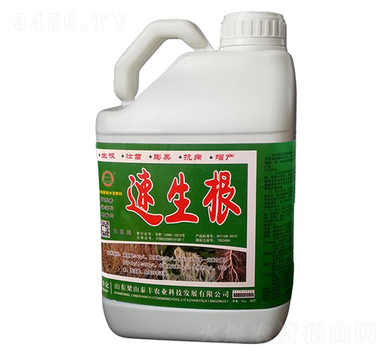 ������-��ɽ̩�S