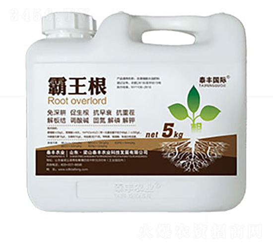 ������-��ɽ̩�S