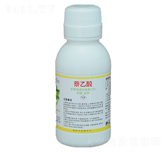 ������-�����S