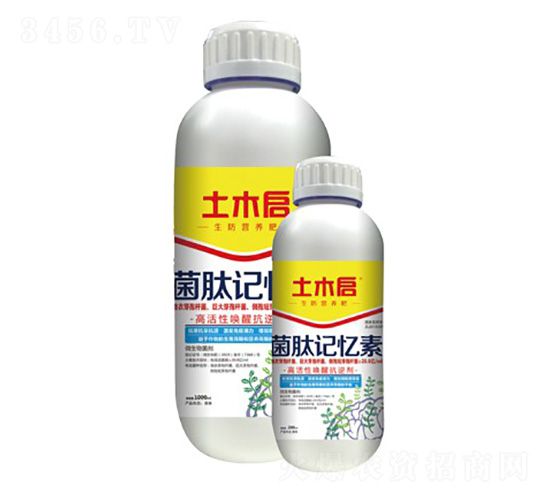 ����ӛ����-��ľ������