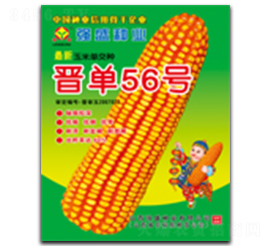 �x��56̖(h��o)-���׷N��-��(qi��ng)ʢ�N�I(y��)