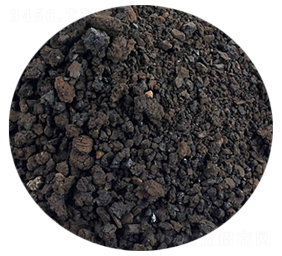 ��ֲ�����-�𺣵|