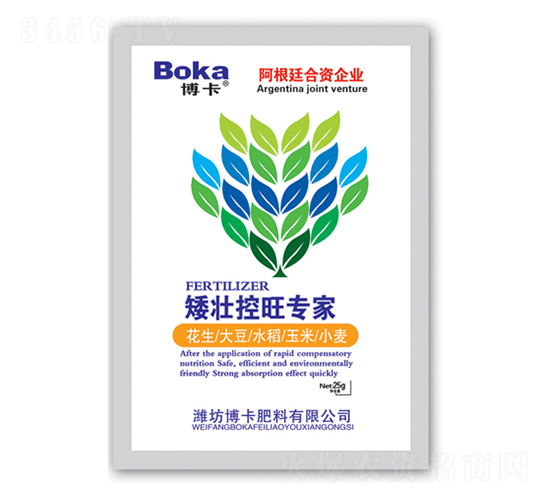 ���ѿ�������-����