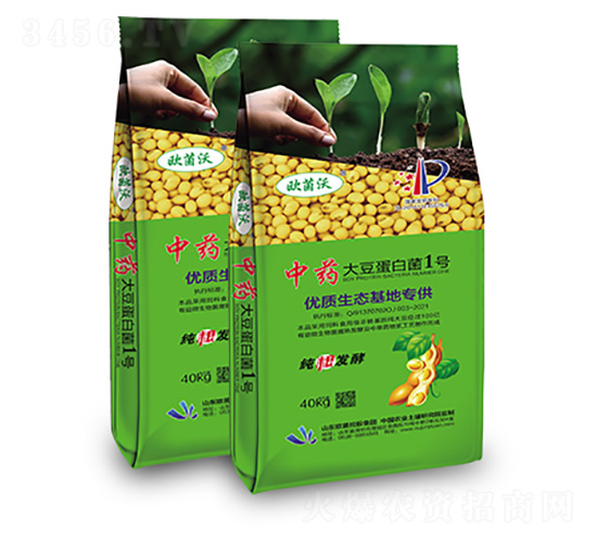 ��ˎ���󶹵��׾�1̖(h��o)-�W�����F(tu��n)