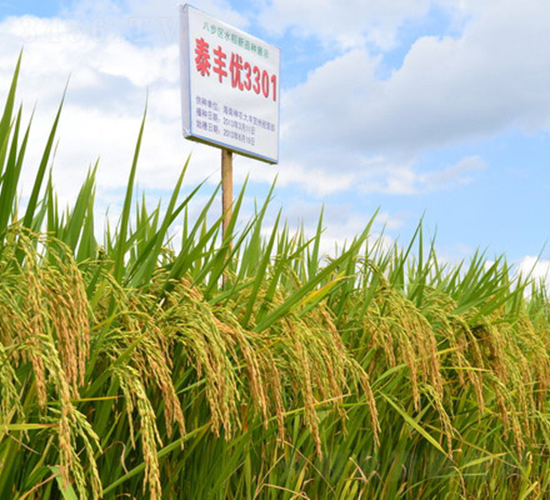 ̩�S��(y��u)3301-ˮ���N��-���C�N�I(y��)