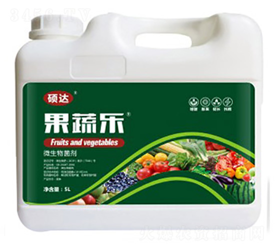 ���ߘ�-�T�_(d��)