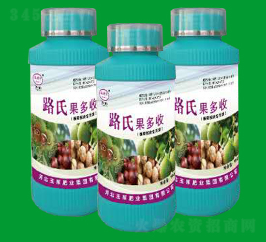 ·�Ϲ�����-���