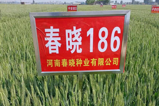 ����186-С���N��-���ԷN�I(y��)