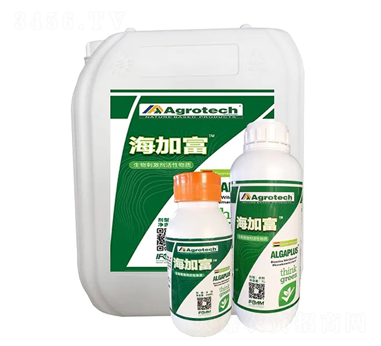 ����̼���-���Ӹ�-����̩��