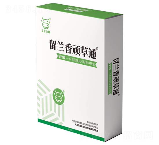 ���m���B��ͨ-���A����