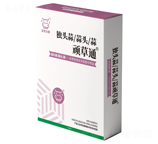 獨(dú)頭蒜頑草通-正華力致