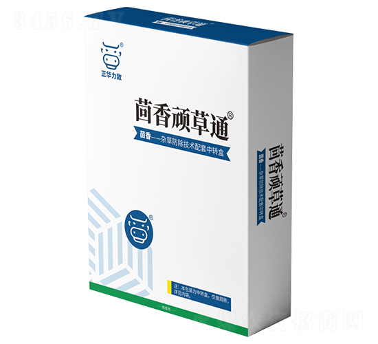 �����B��ͨ-���A����