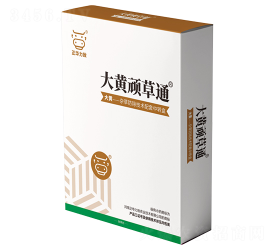 大黃頑草通-正華力致