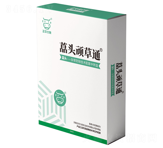 藠頭頑草通-正華力致