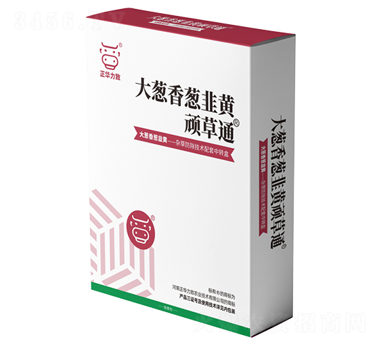 大蔥、香蔥、韭黃頑草通-正華力致