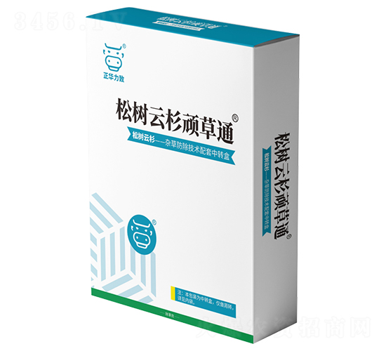 松樹云杉頑草通-正華力致
