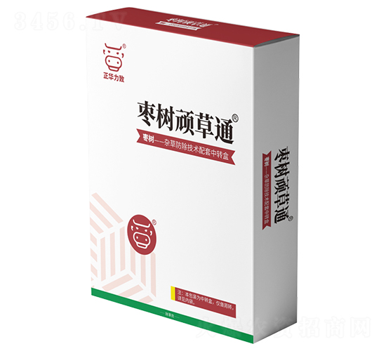 棗樹頑草通-正華力致