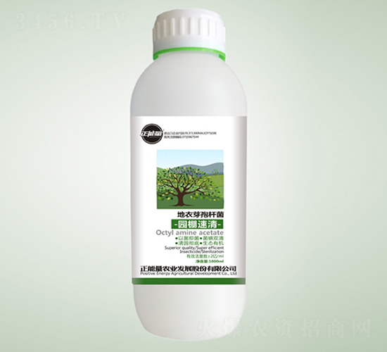 ����ѿ�ߗU��-�@������-������