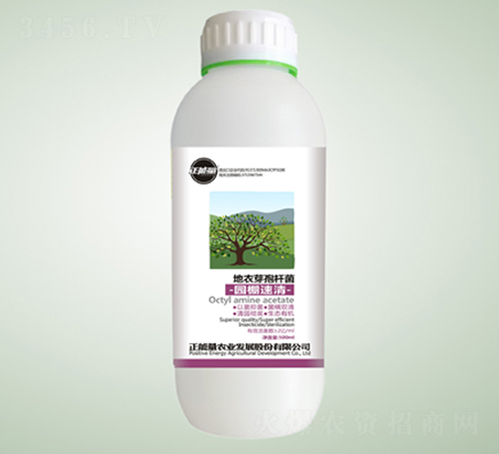 ����ѿ�ߗU����@��-�@������-������